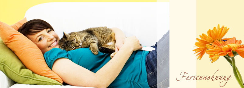 Zur Startseite Pension Alte Schmiede Sehestedt